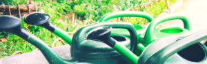 watering can for nurturing